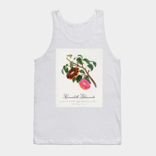 "Ciambella Ghiacciata" - Donut Tree; classic botanical art from Pomona Italiana updated with chocolate and strawberry donuts Tank Top